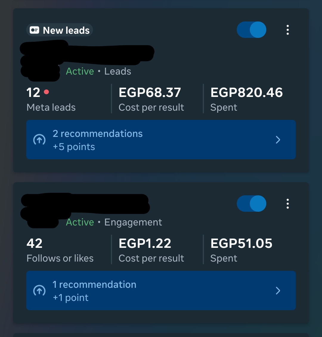 Campaign Result